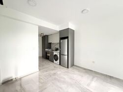 Affinity At Serangoon (D19), Apartment #512992871